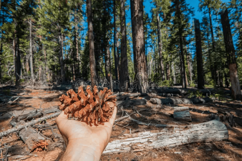 From the Principal’s Desk, April 10, 2026